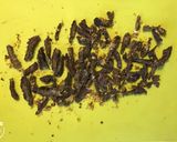 A picture of step 4 of California Farm Sundried Beef Strips.