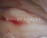 Foto langkah ke 1 dari resep Sate Ikan Tanpa Sayur Khas Palembang ala Violet Azalea.