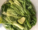 Foto langkah ke 2 dari resep Sayur Asin (home made).