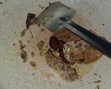 A picture of step 2 of Cholar Dal.
