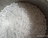 A picture of step 1 of Mango sago coconut pudding.
