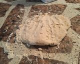 Foto del paso 9 de la receta: Tarta con Pencas de Acelga