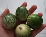 Foto langkah ke 1 dari resep Sambel Terong Rebus Viral.