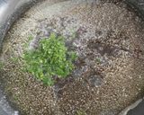 Foto del paso 2 de la receta: Lenguado a la mantequilla