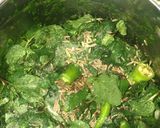 પાલક ફુદીના સેવ (Palak Pudina Sev Recipe In Gujarati) રેસીપી સ્ટેપ1ફોટો
