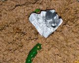 A picture of step 7 of Bihari Dum Qeema.