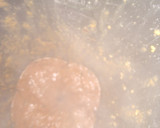 Foto del paso 11 de la receta: Mole negro del abuelo