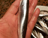 Foto del paso 2 de la receta: Anchoas en salazón y con hierbas aromáticas, con mi método de treinta días de curación