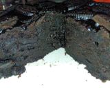 Foto langkah ke 5 dari resep Cake Oreo KW super simple.