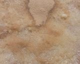 Foto del paso 4 de la receta: Sopa de proteína de arvejas 🥣 Sopita anti frío preparada en Islandia con ing. de Argentina 🇦🇷 🇮🇸