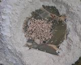 Foto del paso 1 de la receta: Pancitos Saborizados