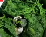 बथुआ का रायता बूंदी बाला (bathua ka raita boondi wala recipe in Hindi) रेसिपी चरण 1 फोटो