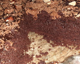 Une image de l'étape 7 de Gâteaux aux chocolat.