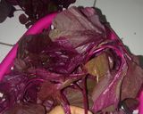 Foto langkah ke 1 dari resep Sayur Bayam Merah #5resepterbaruku.
