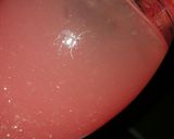 A picture of step 2 of Watermelon splash 🍷.