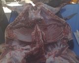 Foto del paso 3 de la receta: Cordero a la asador (paso a paso)