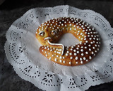 Foto del paso 10 de la receta: Anguila de Mazapán