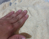 Foto del paso 3 de la receta: Milanesa de filete de Merluza
