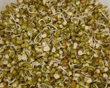 સ્પાઉટસ ઉત્તપમ (Sprouts Uttapam Recipe In Gujarati) રેસીપી સ્ટેપ1ફોટો