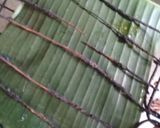 Foto langkah ke 4 dari resep Ikan Emas Bakar.