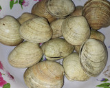 Foto del paso 2 de la receta: Almejas a la parmesana
