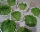 Foto langkah ke 11 dari resep 1036. Pandan Rice Bowl.