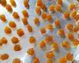 Foto langkah ke 4 dari resep Nastar Putri Glowing.