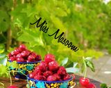 عکس مرحله 1 از دستور ترشک آلبالو