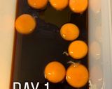 A picture of step 1 of Cured egg yolk.
