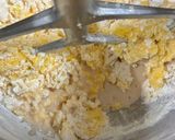 義式聖誕麵包-潘納托尼Panettone 2025的食譜步驟3照片