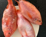 Foto del paso 3 de la receta: Mojarra Apanada