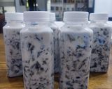 Foto langkah ke 5 dari resep Es Lumut Cincau.