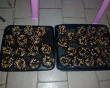 Foto del paso 6 de la receta: Donas bañadas en chocolate