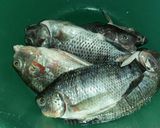 Foto langkah ke 1 dari resep Palai ikan (pepesnya minang).