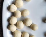 A picture of step 10 of Chhena 3.0.