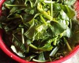 পালং শাকের ঘন্ট (palak saager ghonto recipe in bengali) রেসিপির ধাপ 4 ছবি