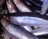 Foto del paso 1 de la receta: Anchoas