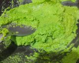 हरी मटर का हलवा (hari matar ka halwa recipe in Hindi) रेसिपी चरण 2 फोटो