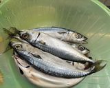Foto langkah ke 1 dari resep Ikan salem masak saus tomat.