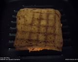 A picture of step 4 of Brown bread Carrot sandwich.