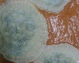 A picture of step 9 of Ravioli.