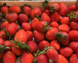 Une image de l'étape 6 de 🫜Charlotte aux Fraises 🍓.