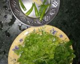 A picture of step 1 of Pudina curd chutney.