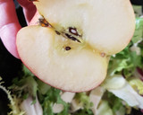 Foto del paso 4 de la receta: Ensalada de verano con salsa de mostaza y miel