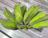 Foto langkah ke 1 dari resep Pisang Goreng Peppe.