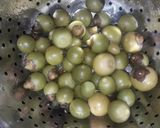 A picture of step 1 of Gumberry veggie.