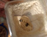 A picture of step 3 of Shrimp Patties for Kids (Cuaresma).