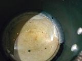 દૂધીનું શાક (Dudhi Shak Recipe in Gujarati)