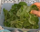 Foto langkah ke 1 dari resep Urap sayur lengkap.
