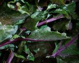 A picture of step 1 of Kadam (Turnip).